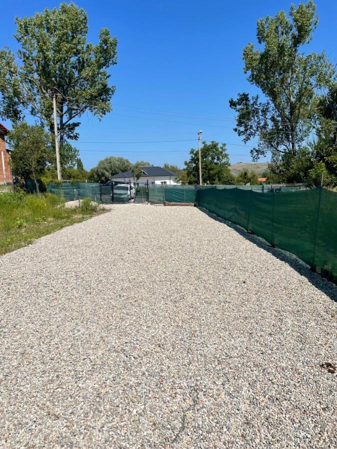 Cabana Tip A La 300 M De Castel Hunedoara Exteriör bild