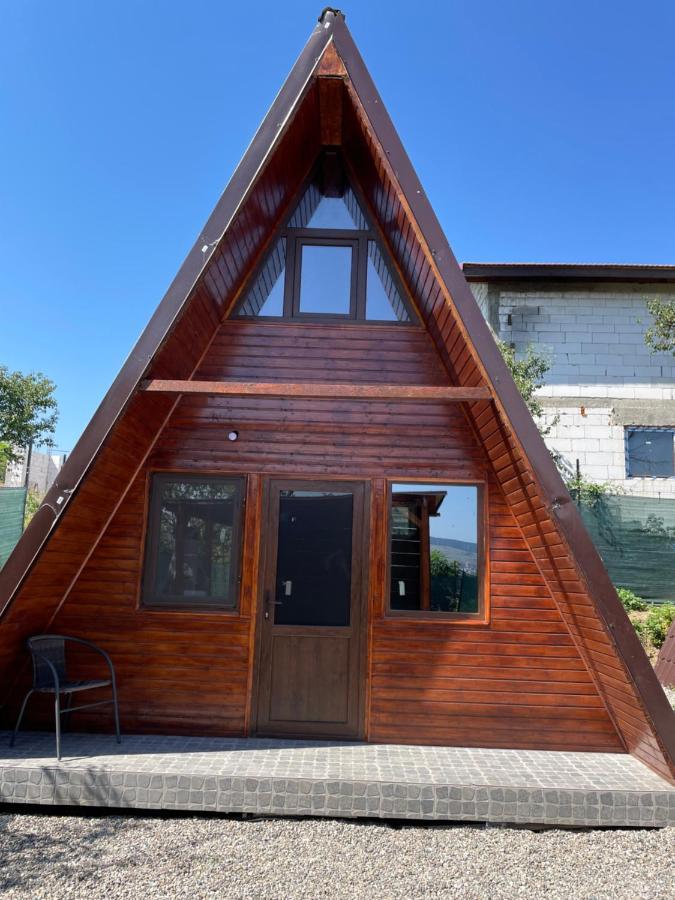 Cabana Tip A La 300 M De Castel Hunedoara Exteriör bild