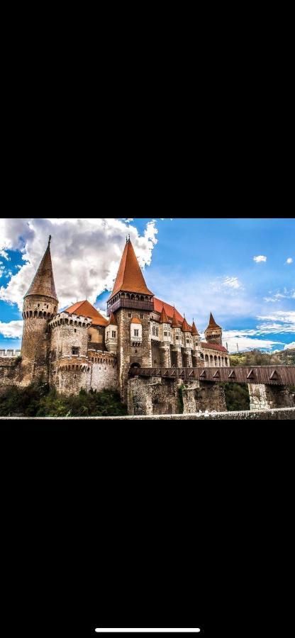 Cabana Tip A La 300 M De Castel Hunedoara Exteriör bild