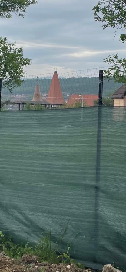 Cabana Tip A La 300 M De Castel Hunedoara Exteriör bild