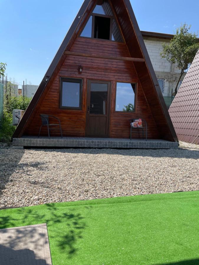 Cabana Tip A La 300 M De Castel Hunedoara Exteriör bild