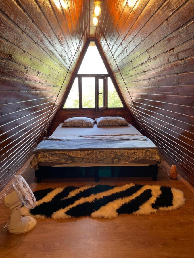 Cabana Tip A La 300 M De Castel Hunedoara Exteriör bild