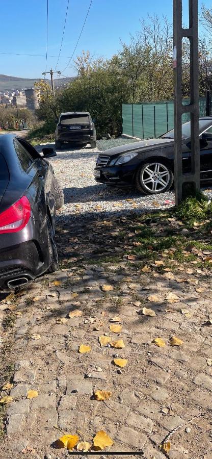 Cabana Tip A La 300 M De Castel Hunedoara Exteriör bild