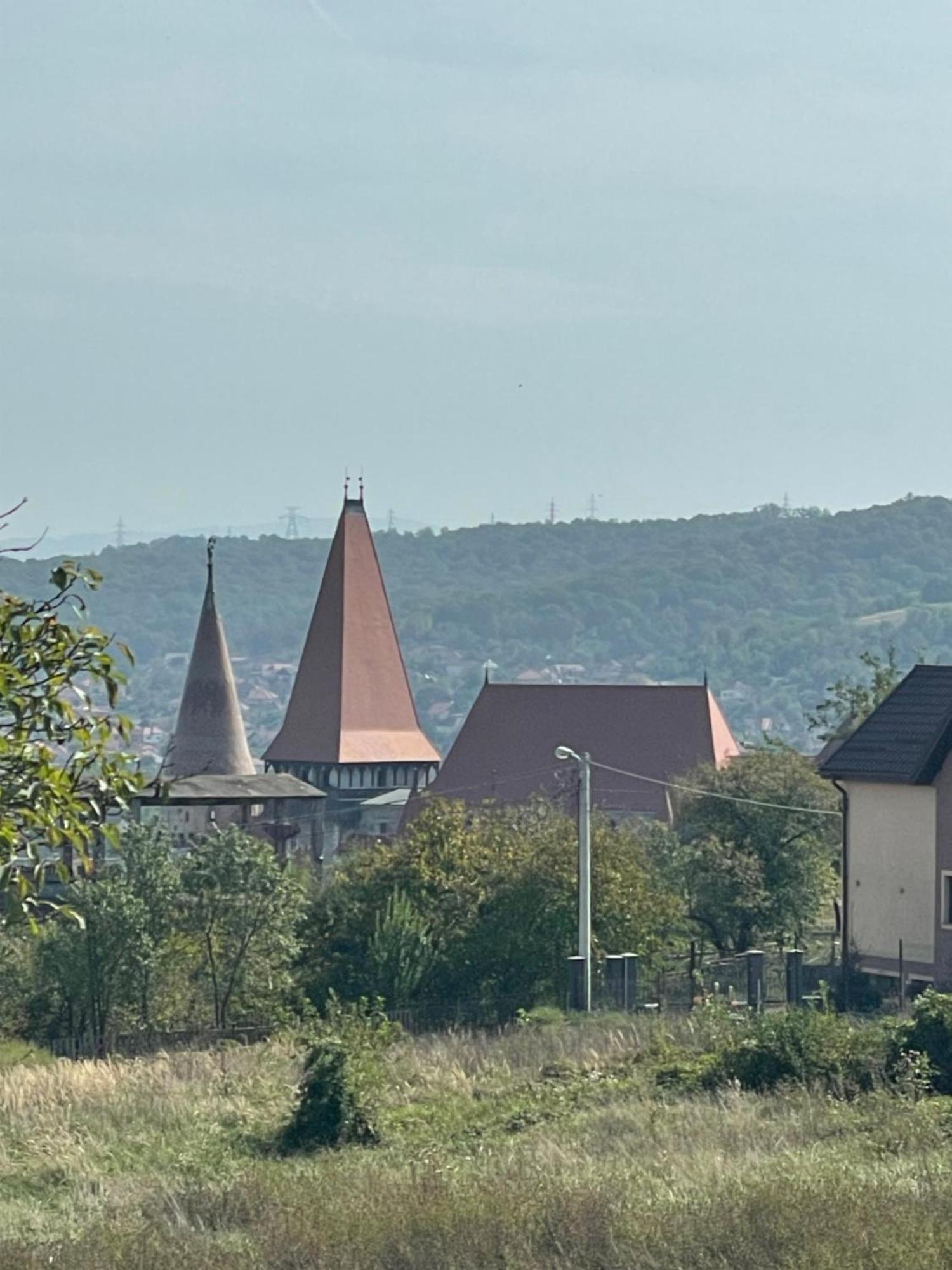 Cabana Tip A La 300 M De Castel Hunedoara Exteriör bild